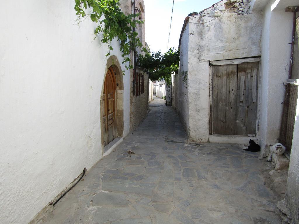 Theanos House Βίλα Pigí Εξωτερικό φωτογραφία